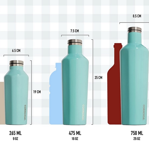 🦩GUC Corkcicle Brand 16 oz Stainless Steel Insulated Thermos Bottle, Flamingo - Picture 4 of 12